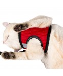 Kırmızı Kedi Tasması S Beden Göğüs Boyun Tasma Seti Sevk Kayışlı Terletmeyen Nefes Alan Reflektör